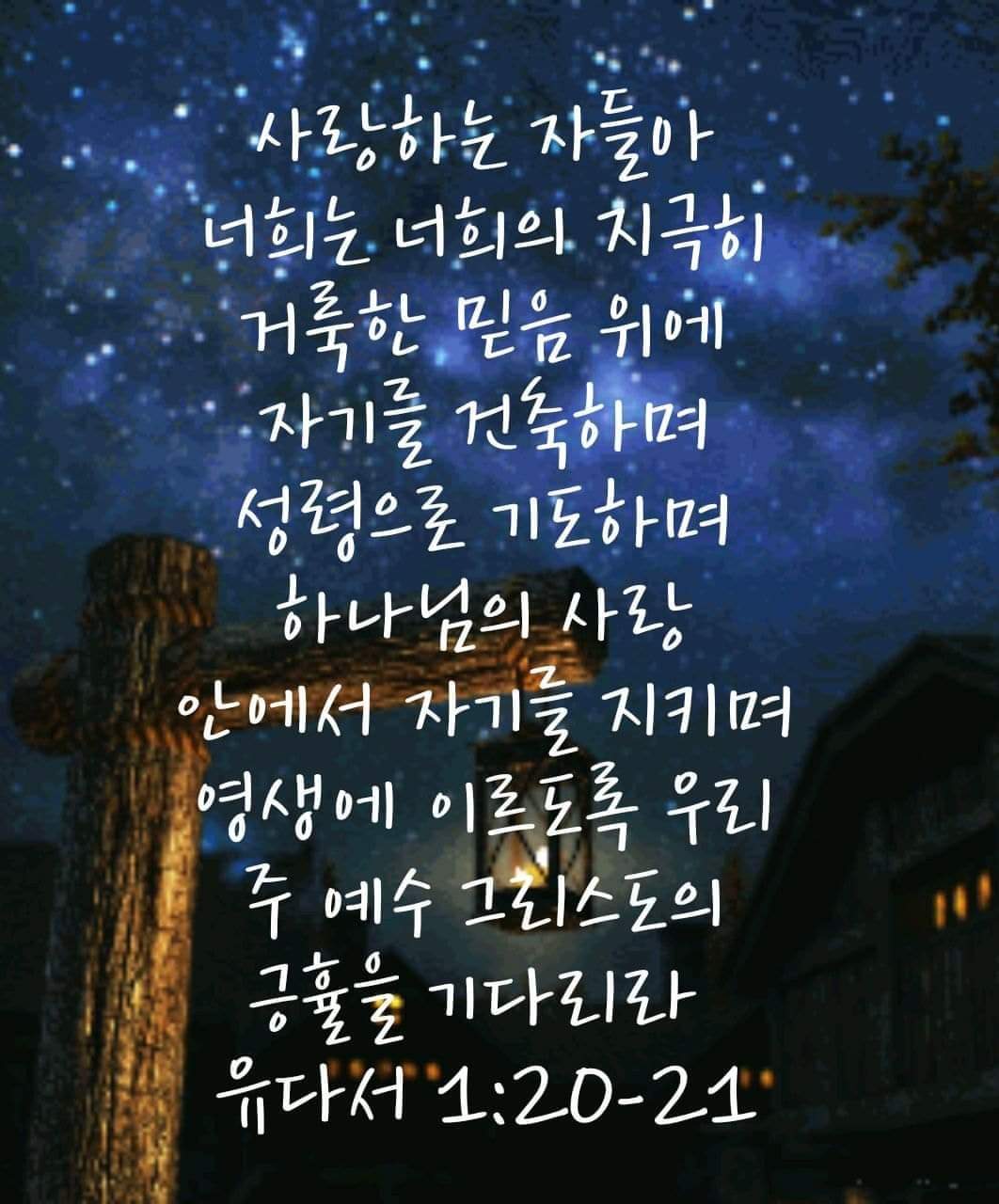 d8306b20d448e.jpg