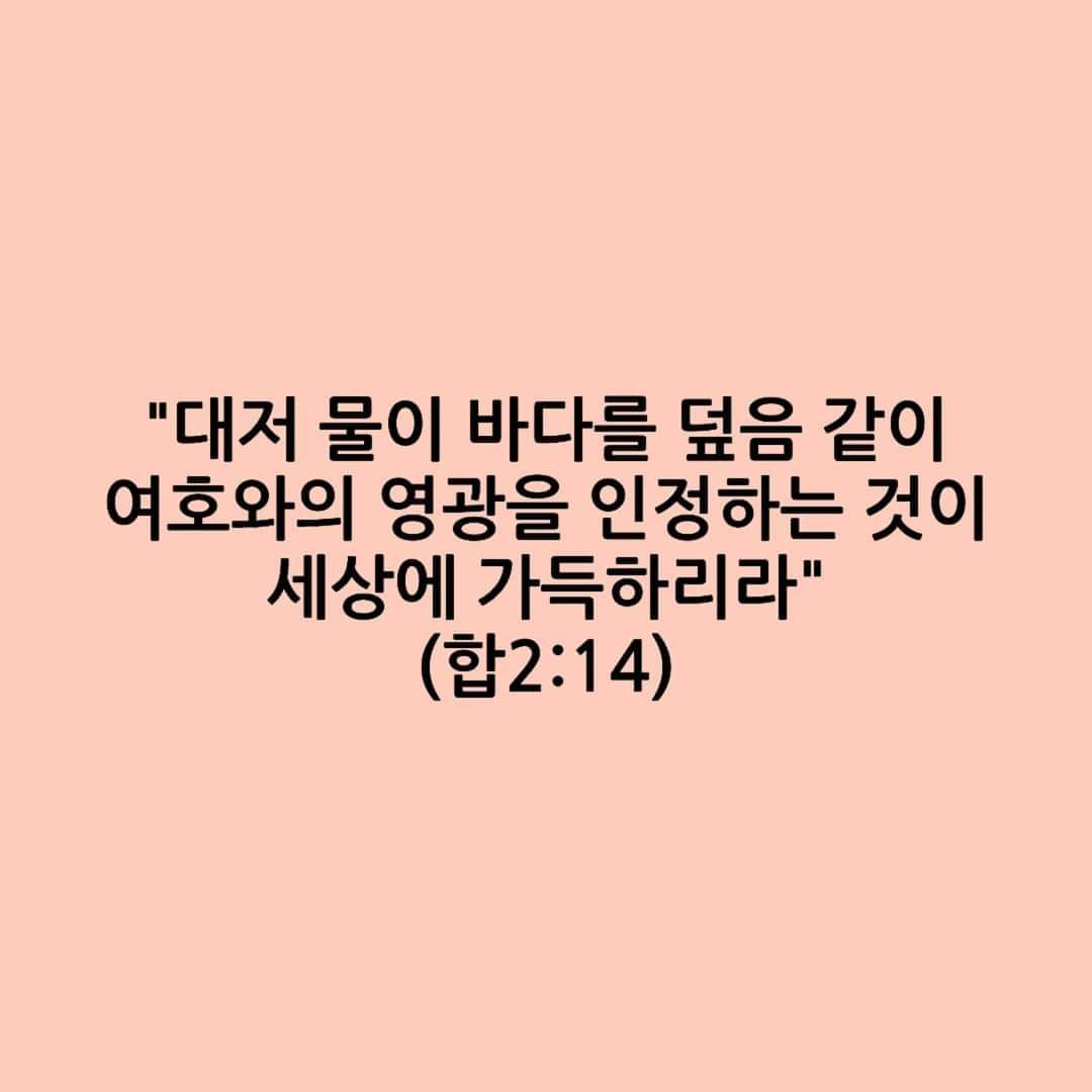d85cd97b338a9.jpg