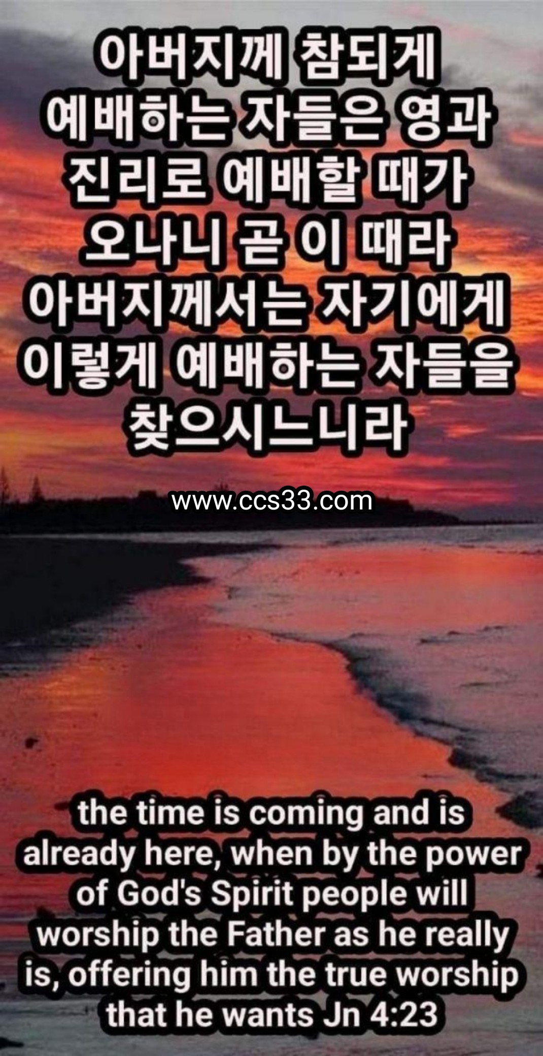 d88d71f016a5d.jpg