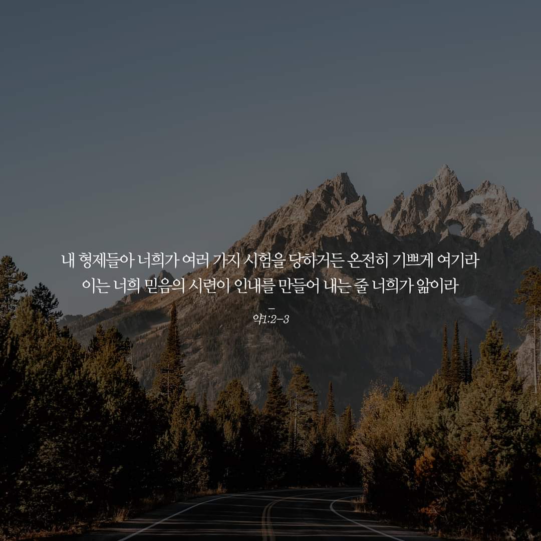 d91c312892648.jpg