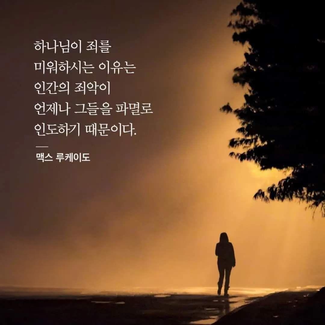 d9a14316de247.jpg