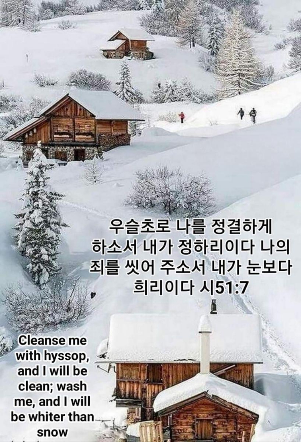 da90cda0d9cf4.jpg