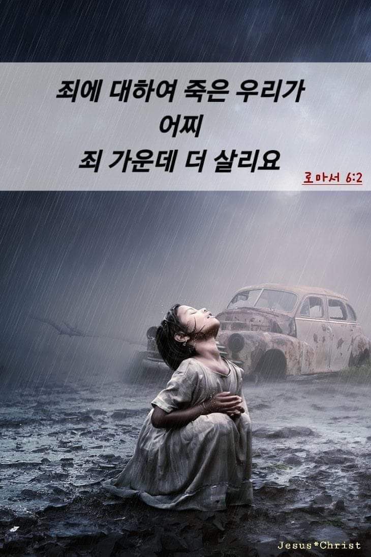 dab8bc6f3061e.jpg