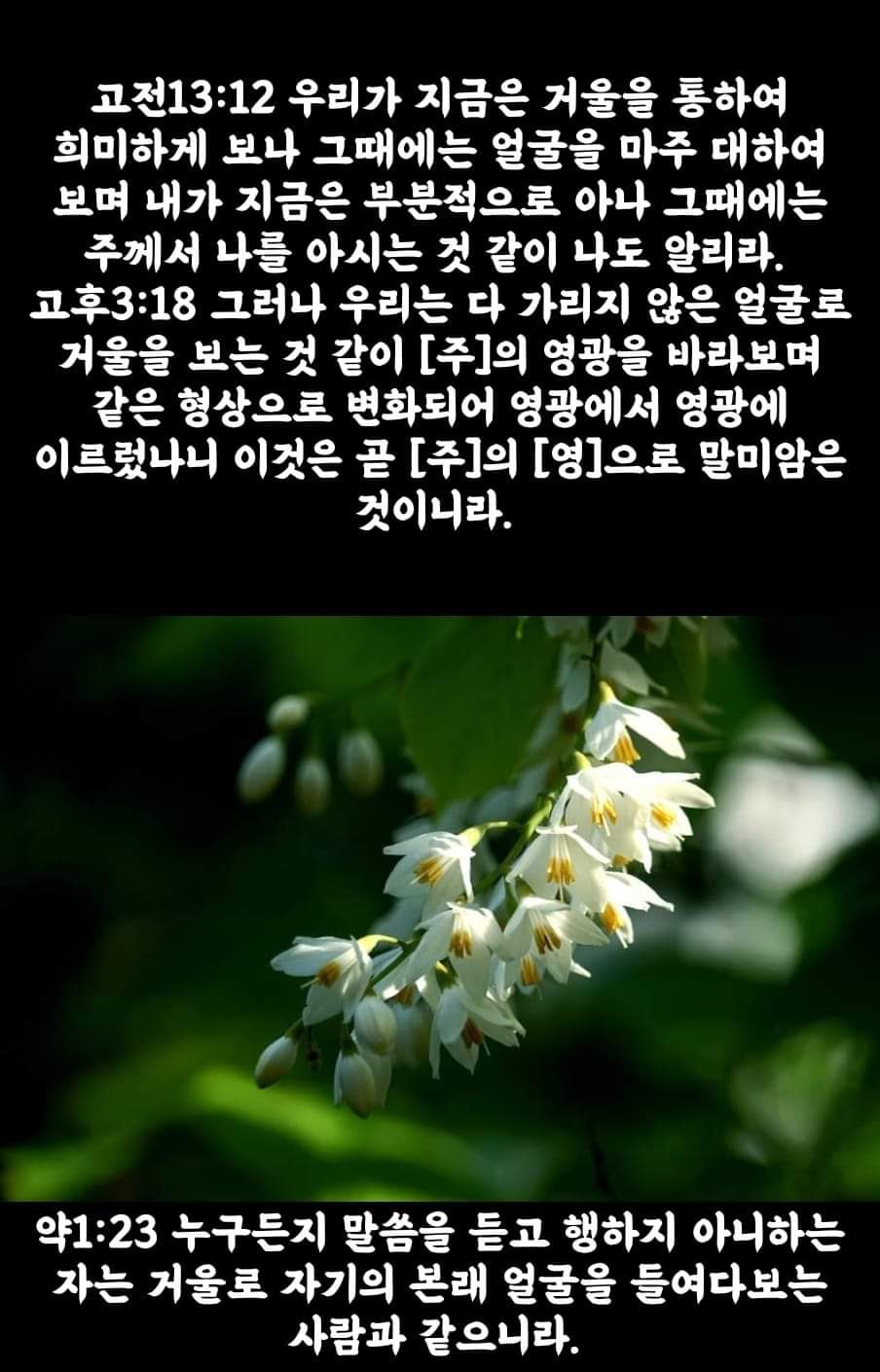 db92b8b9c5a09.jpg