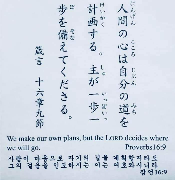 dd3f54dadd62d.jpg
