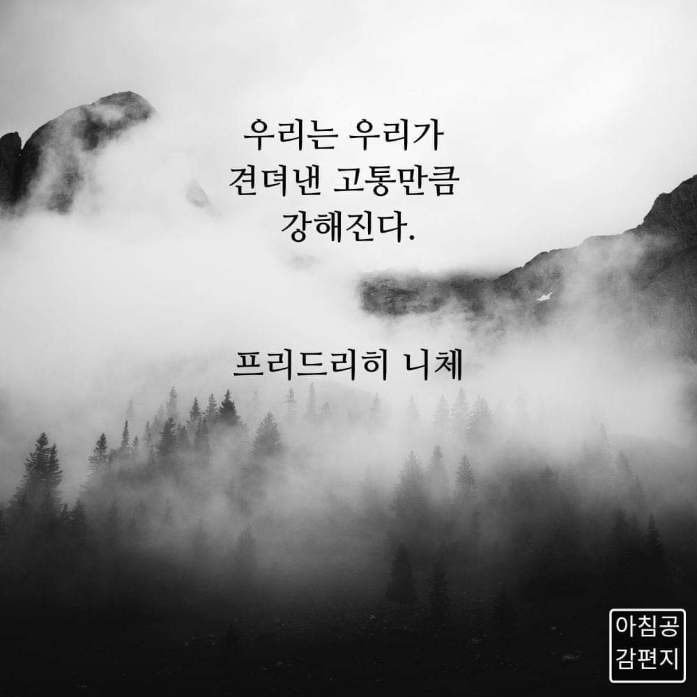 e2628b012360a.jpg