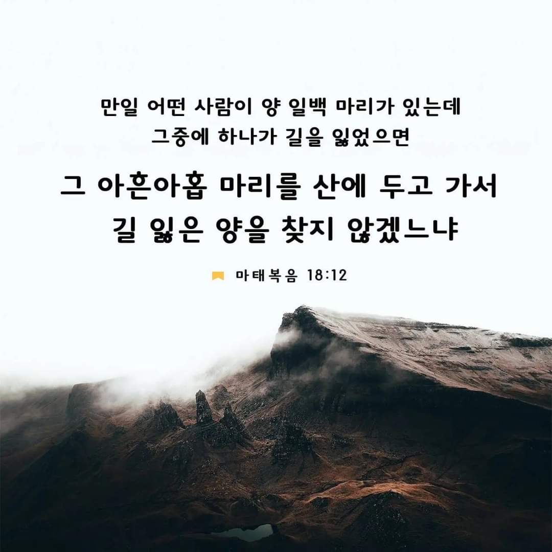 e76495564315d.jpg