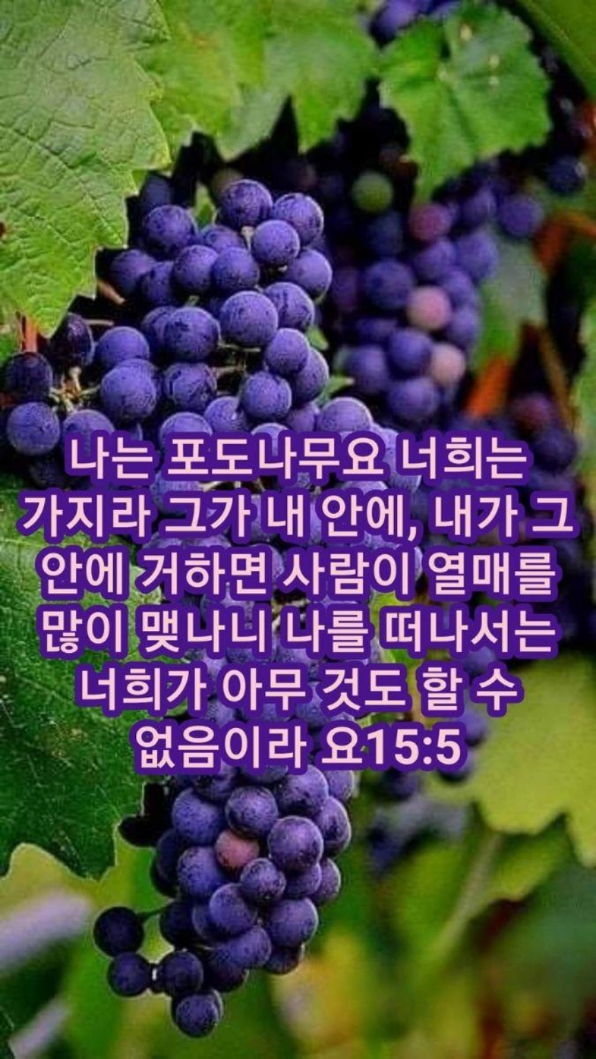e9123facba00f.jpg