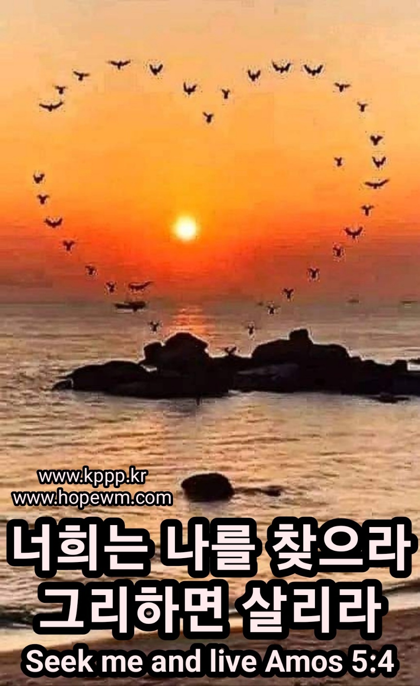 f0fab40c6d780.jpg