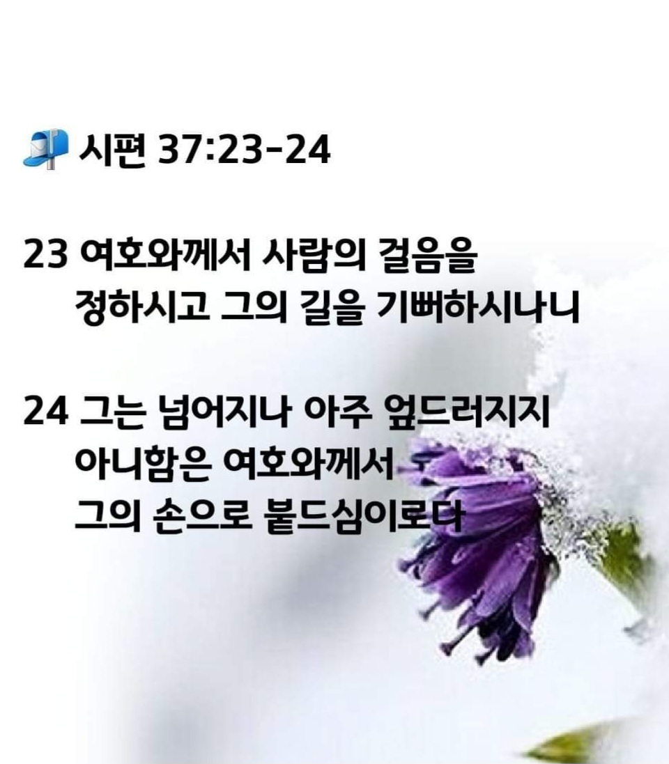 f2283366bc3a7.jpg