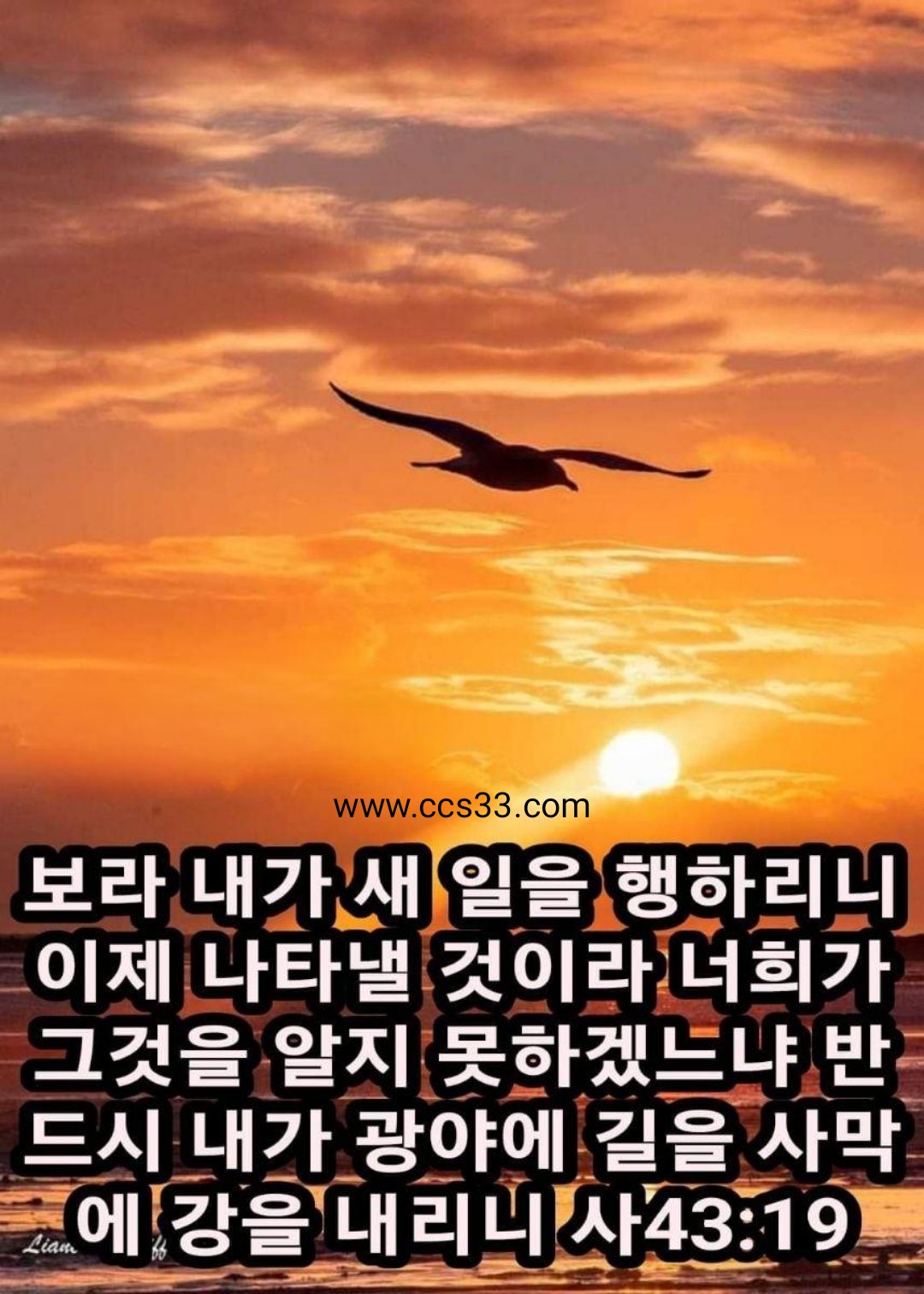 f83df818d0f02.jpg