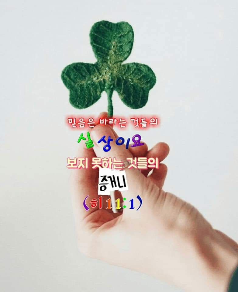 fb2e6ac150643.jpg