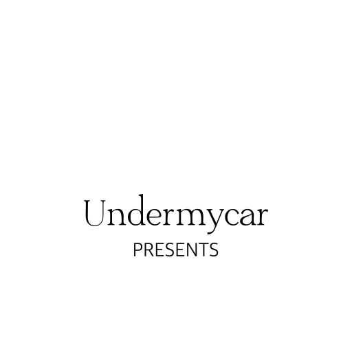 Undermycar global