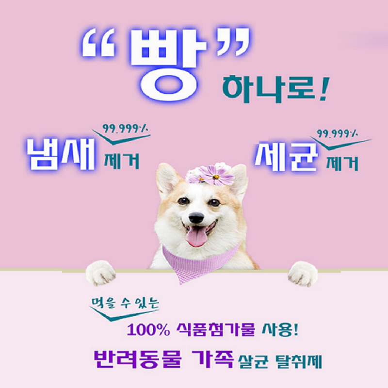 꼬망세 : 마이캣페어