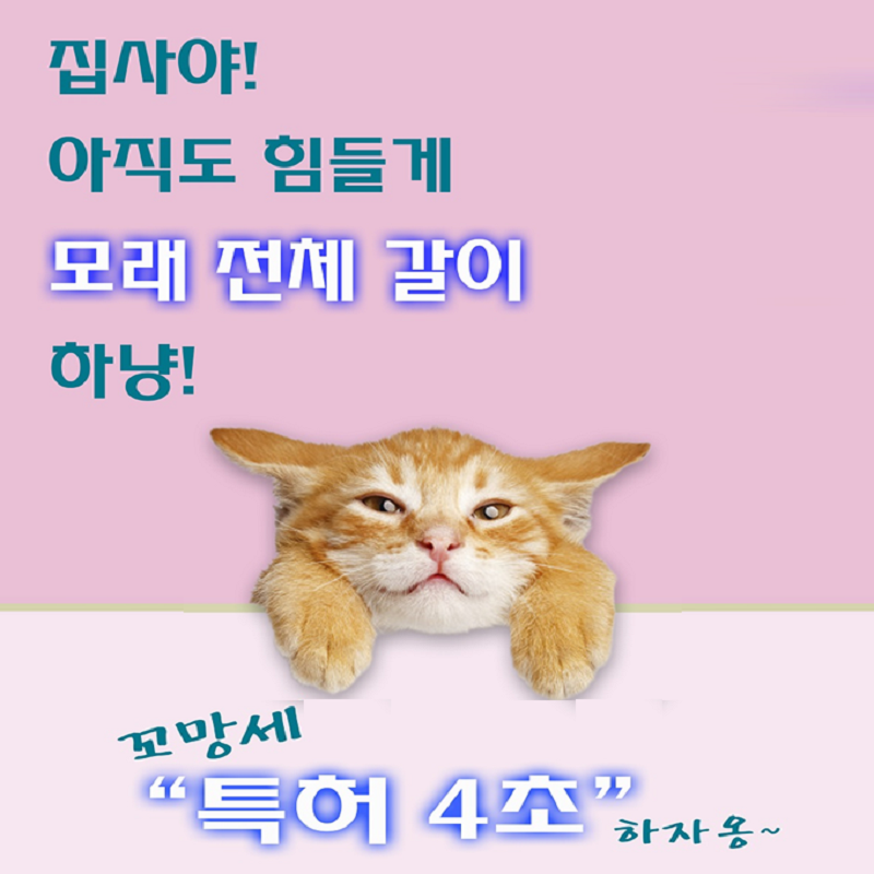 꼬망세 : 마이캣페어