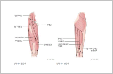 855fca69272a1.png
