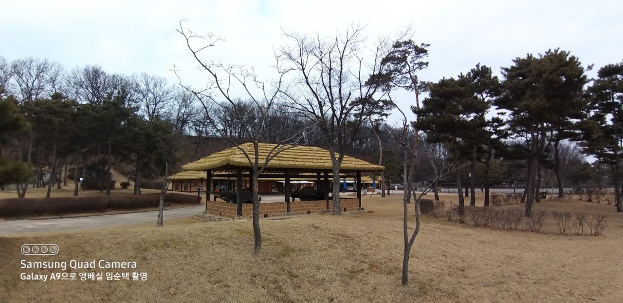 24d049949053d.jpg