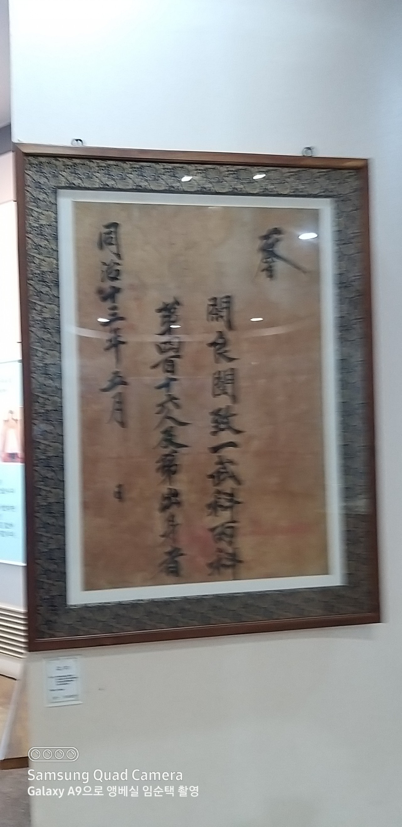 3467f4b8e6dd1.jpg