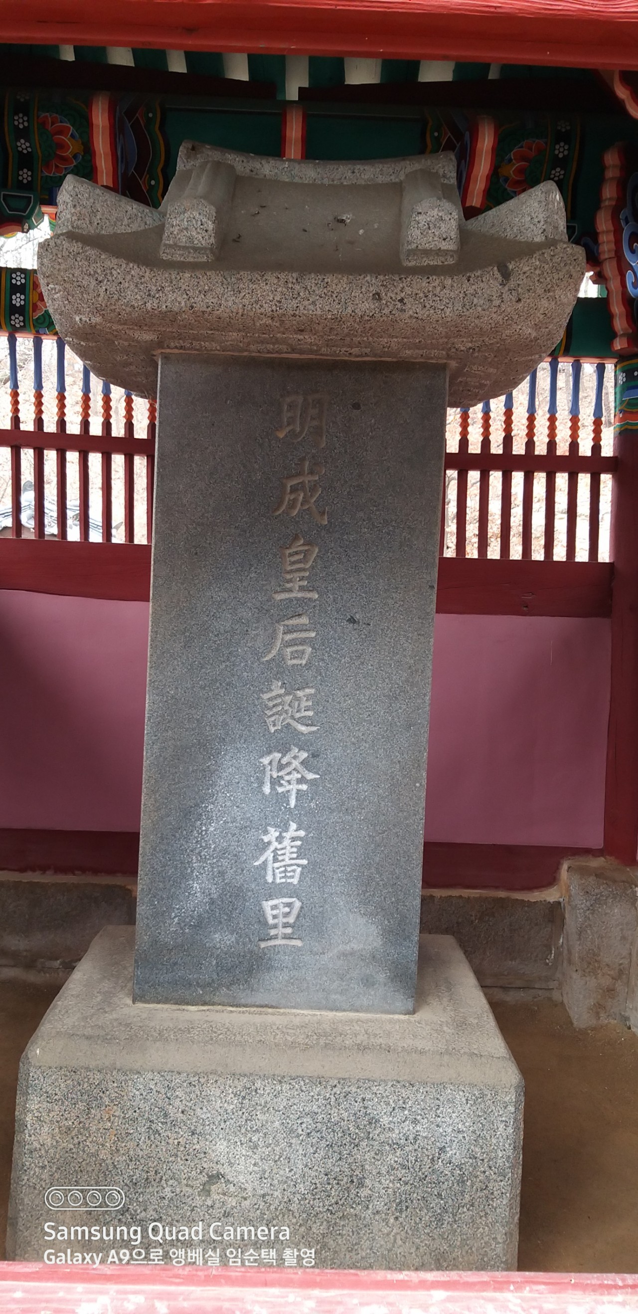 443c13556baa0.jpg