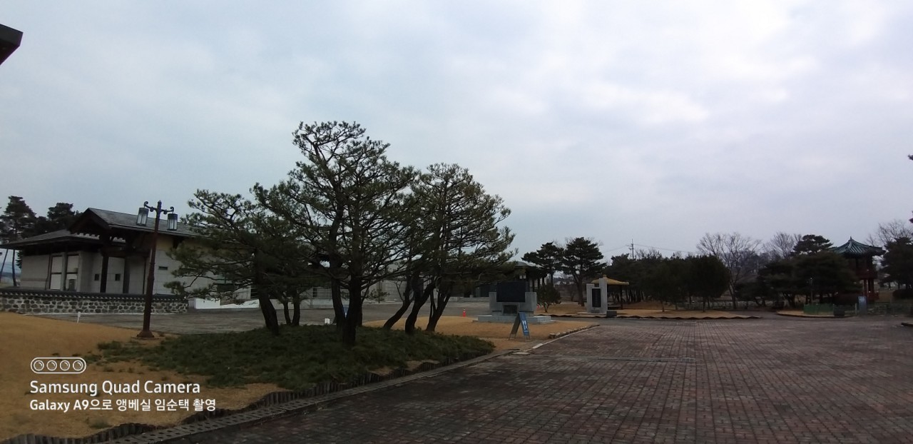 80c3495d9292b.jpg