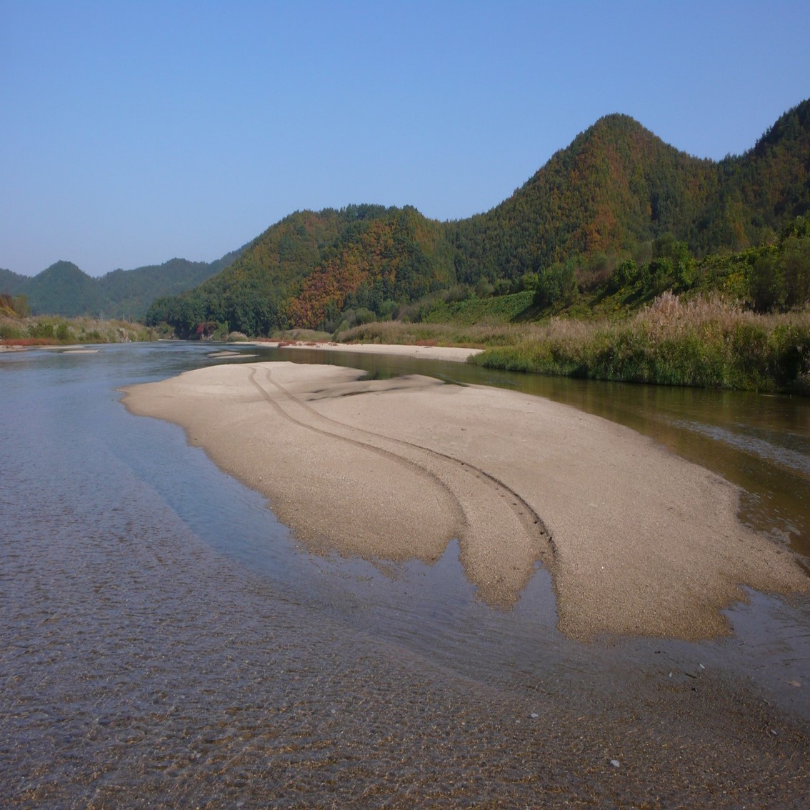 c82bec0a5567a.jpg