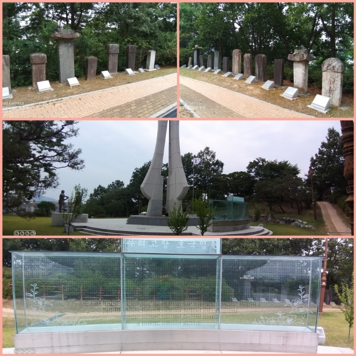 ca9595122b65f.jpg