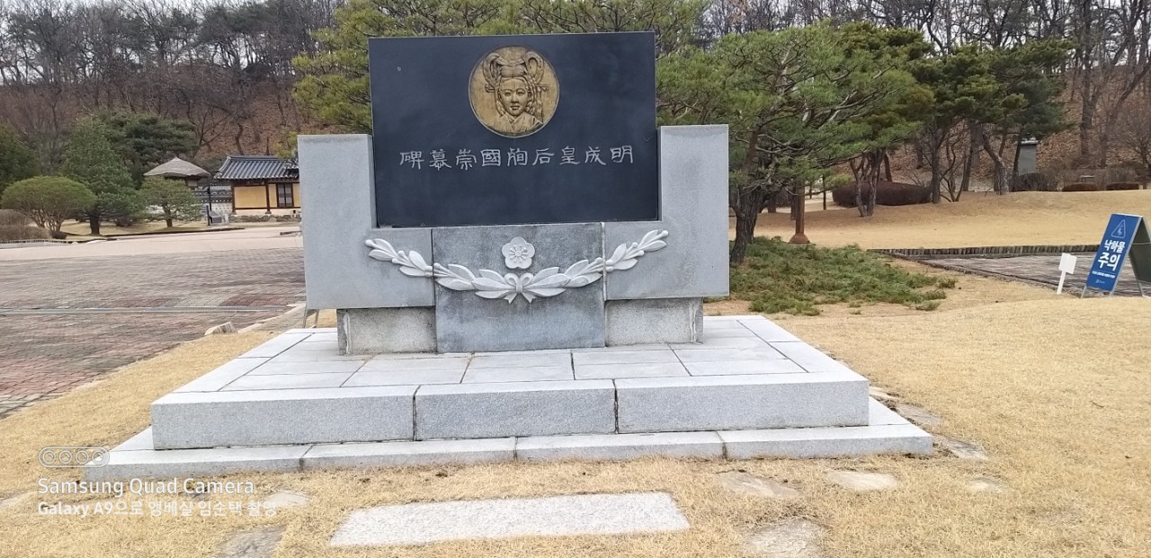 d1ae5b8405b9f.jpg