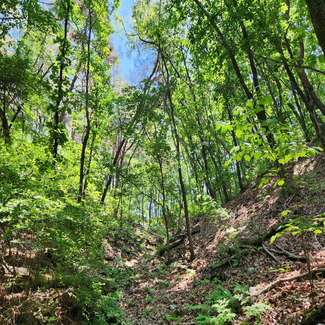 d237681328763.jpg