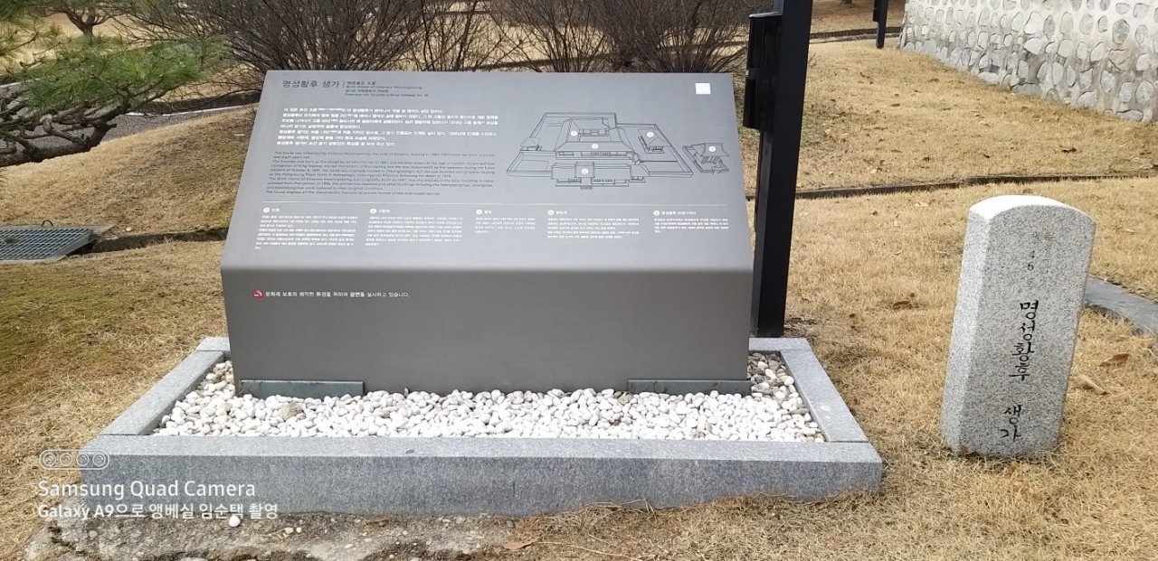 e5124f3480490.jpg