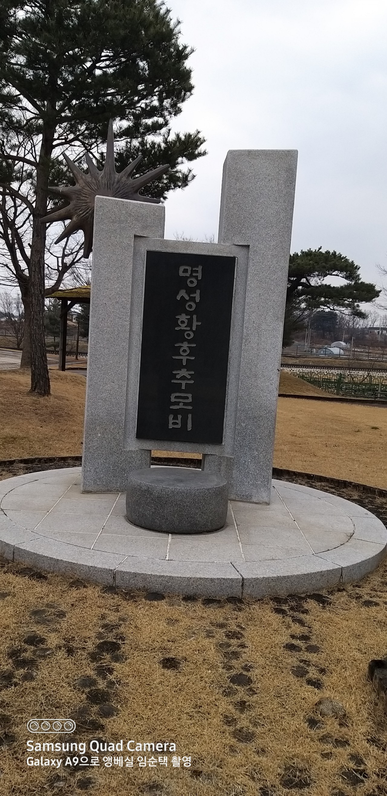 ed406c9f8f535.jpg