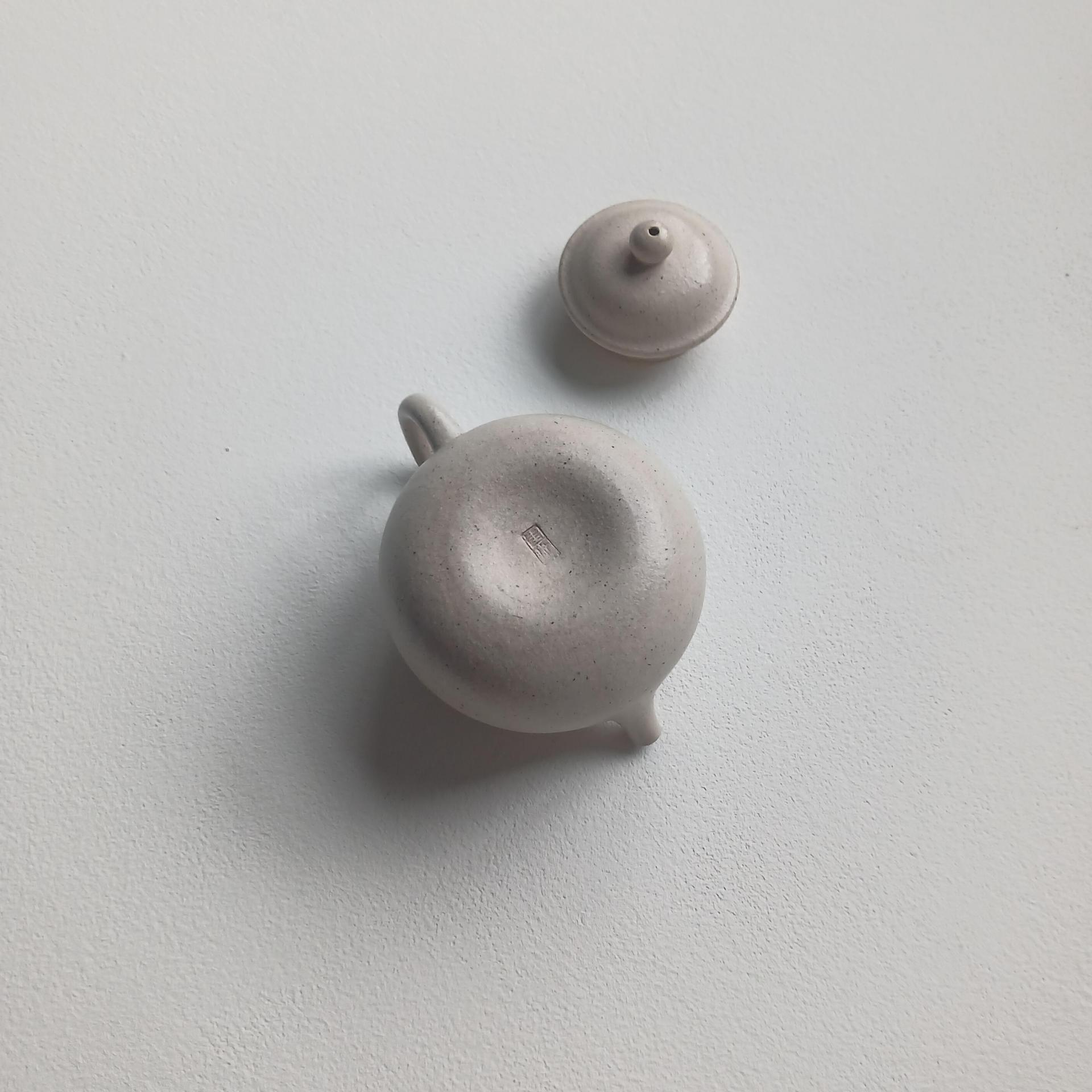백니 자사호