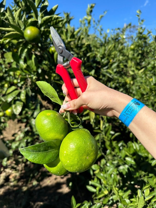f5b1fc785e9a5.jpg