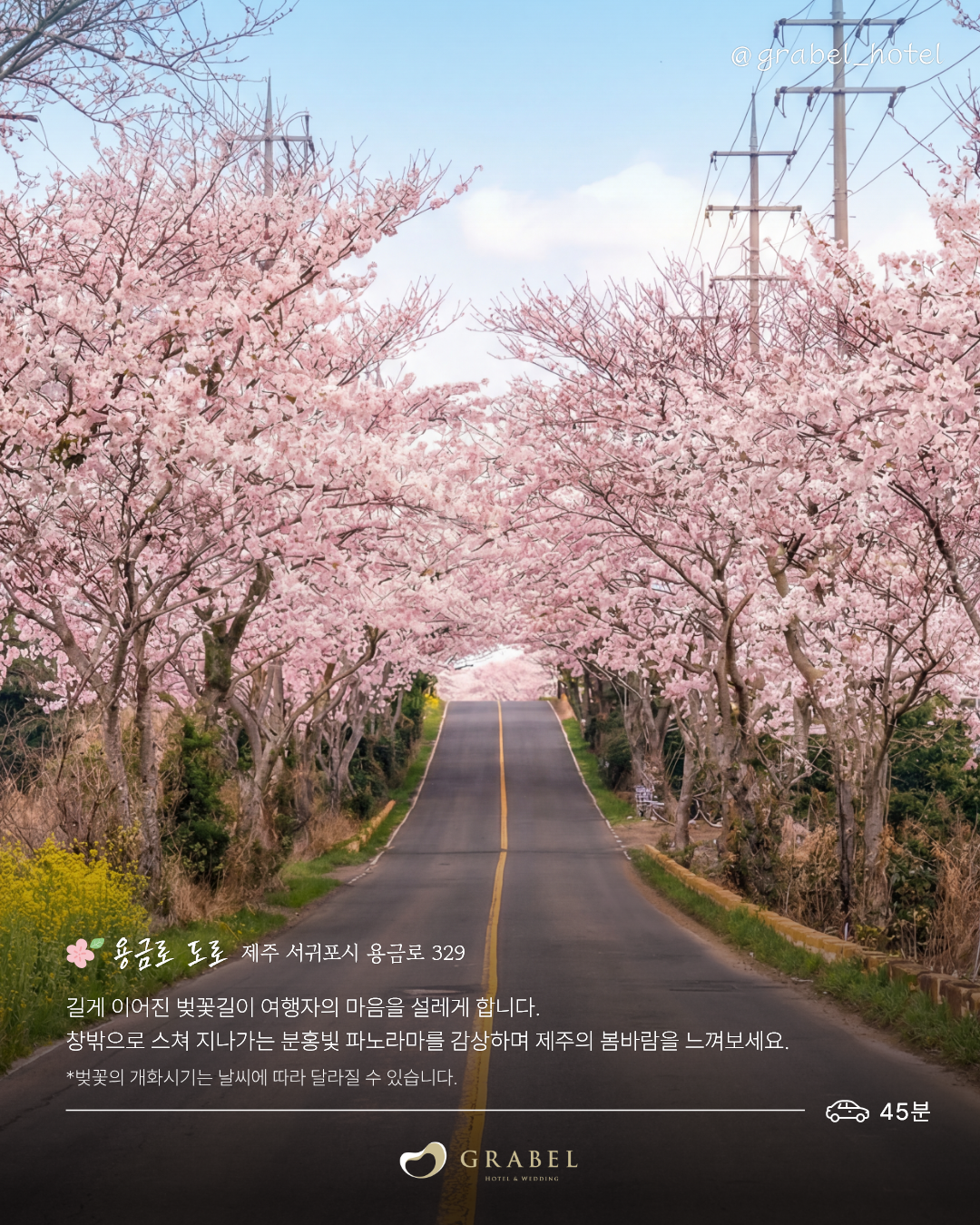 ๋ฒ๊ฝ ์์ชฝ๋ช
์_ํผ๋(6).png