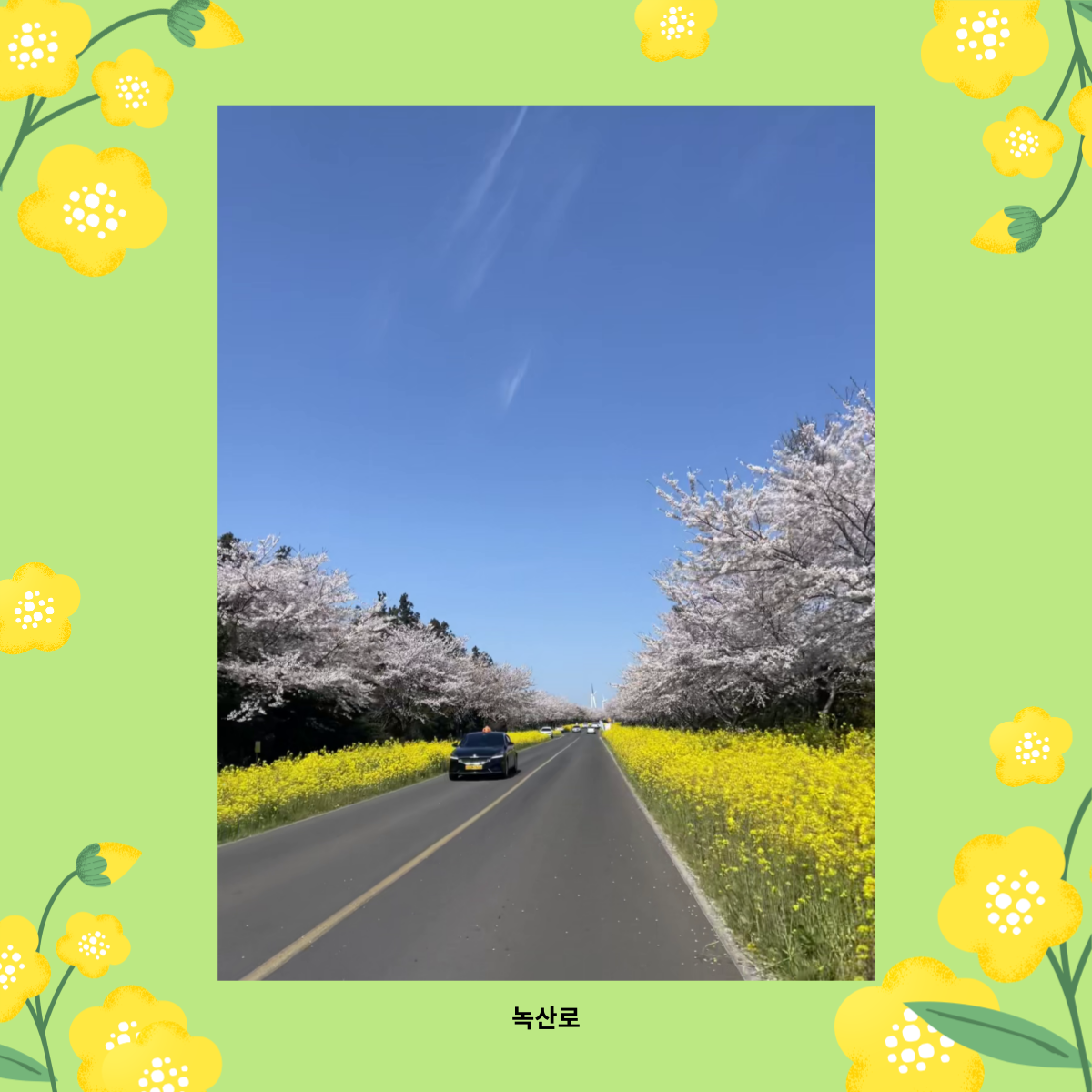 17caa70d20d3b.png