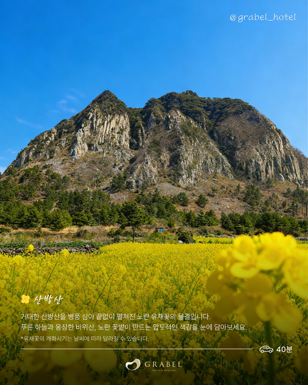 ์ธ์คํ_์์ชฝ ์ ์ฑ๊ฝ ๋ช
์_260323 (4).png