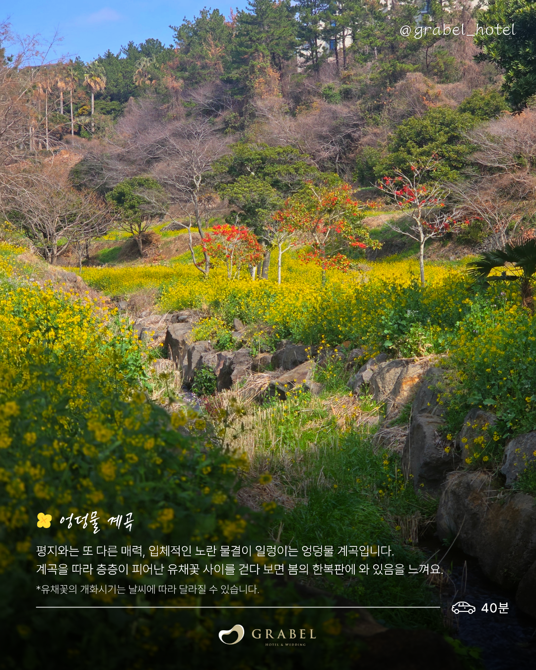 ์ธ์คํ_์์ชฝ ์ ์ฑ๊ฝ ๋ช
์_260323 (5).png