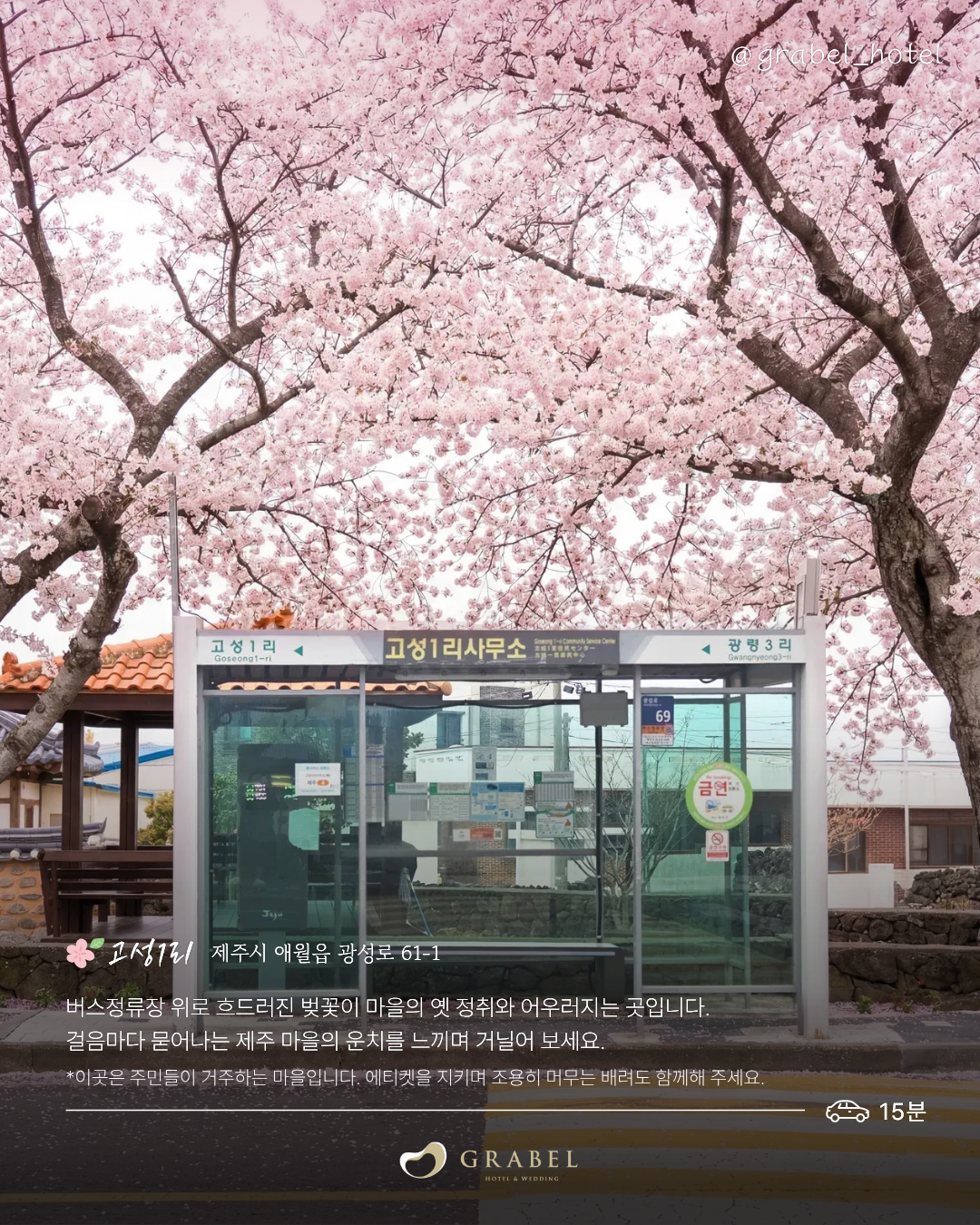 ๋ฒ๊ฝ ์์ชฝ๋ช
์_ํผ๋(2).png