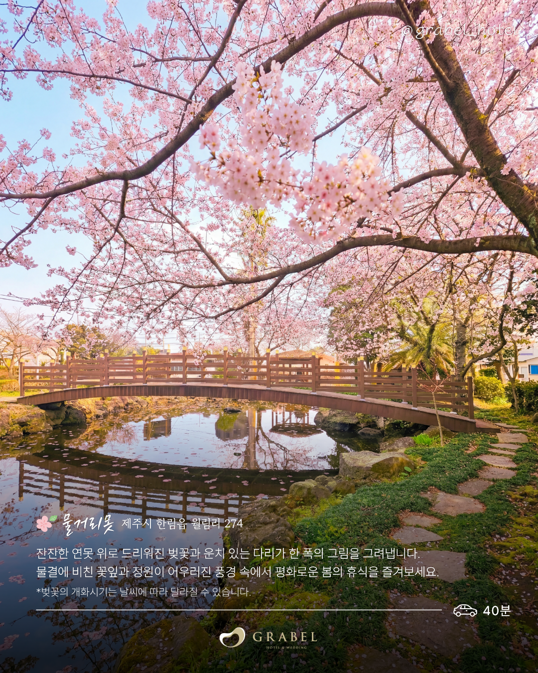๋ฒ๊ฝ ์์ชฝ๋ช
์_ํผ๋(5).png