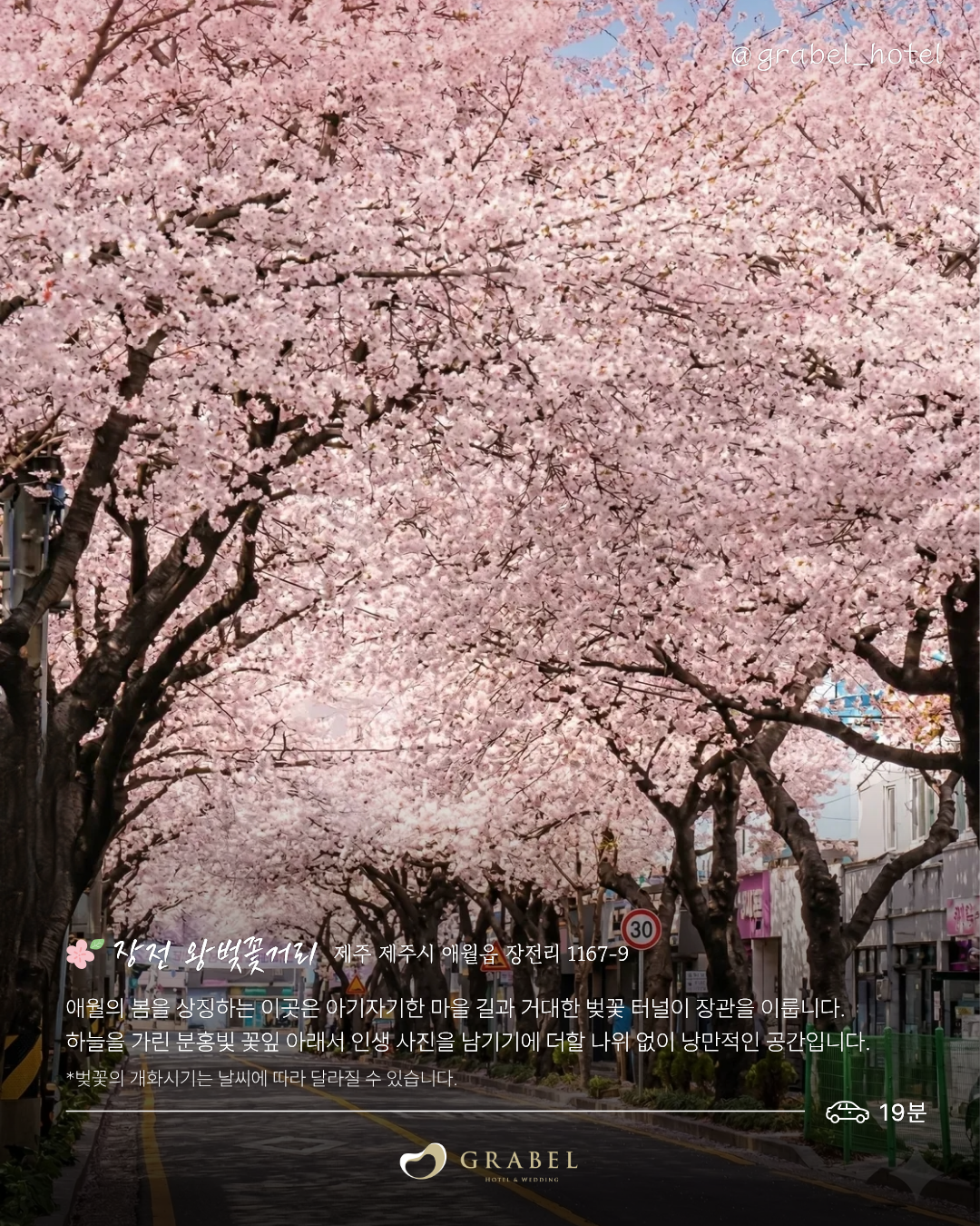 ๋ฒ๊ฝ ์์ชฝ๋ช
์_ํผ๋(4).png