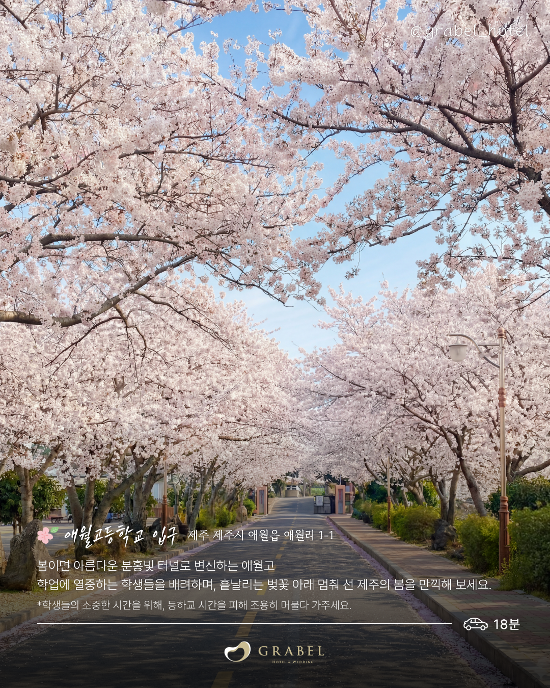 ๋ฒ๊ฝ ์์ชฝ๋ช
์_ํผ๋(3).png