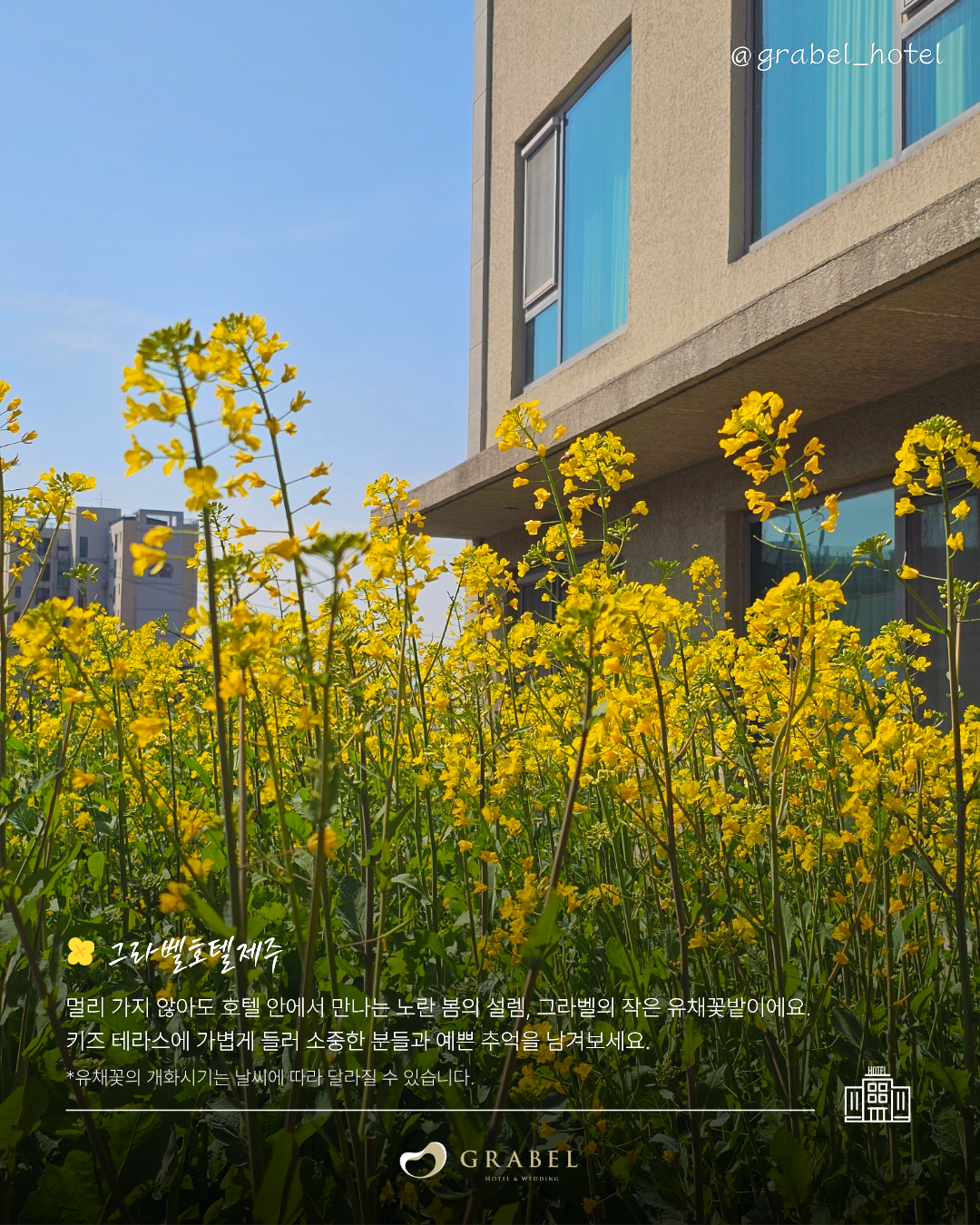 ์ธ์คํ_์์ชฝ ์ ์ฑ๊ฝ ๋ช
์_260323 (7).png