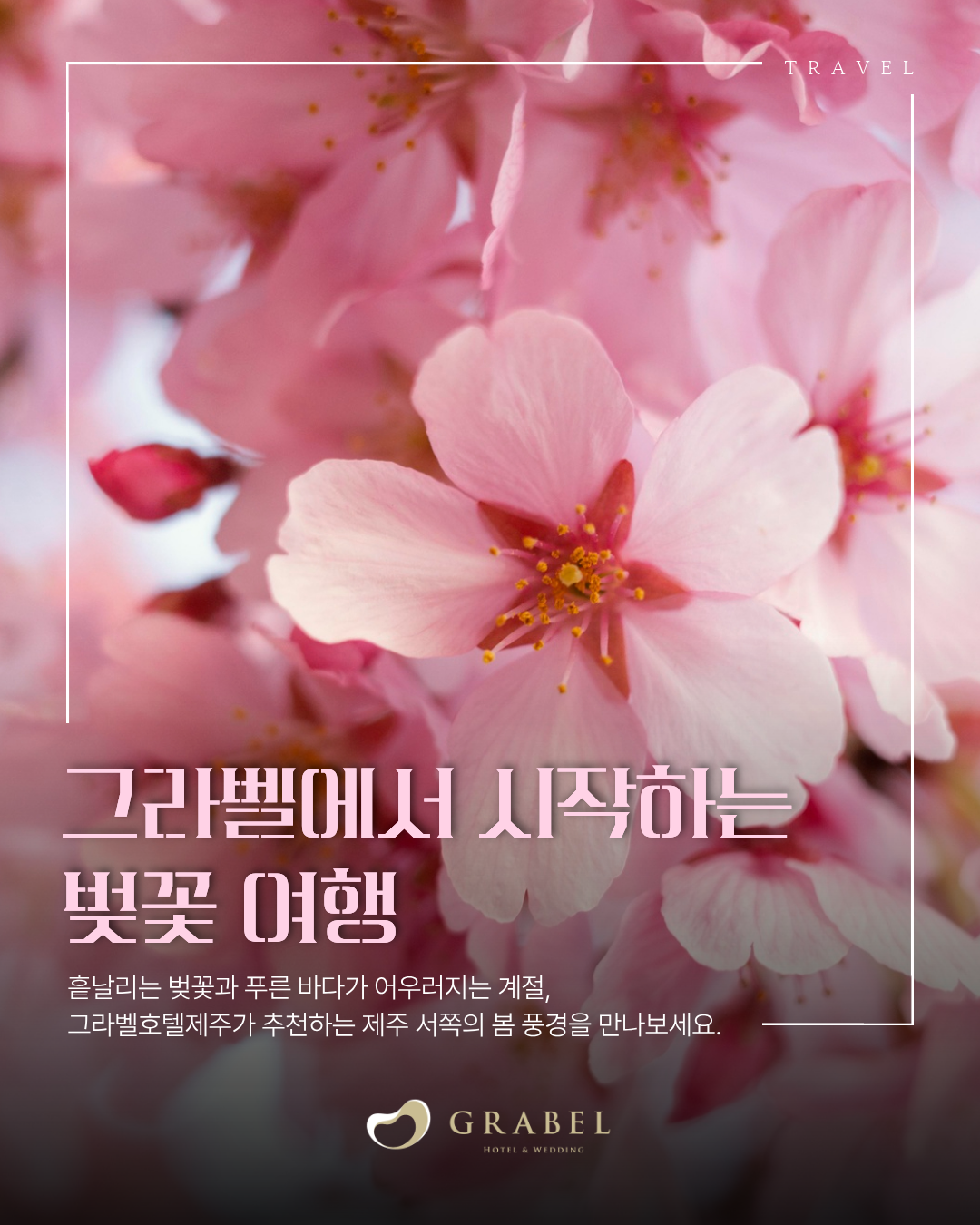 ๋ฒ๊ฝ ์์ชฝ๋ช
์_ํผ๋(1).png