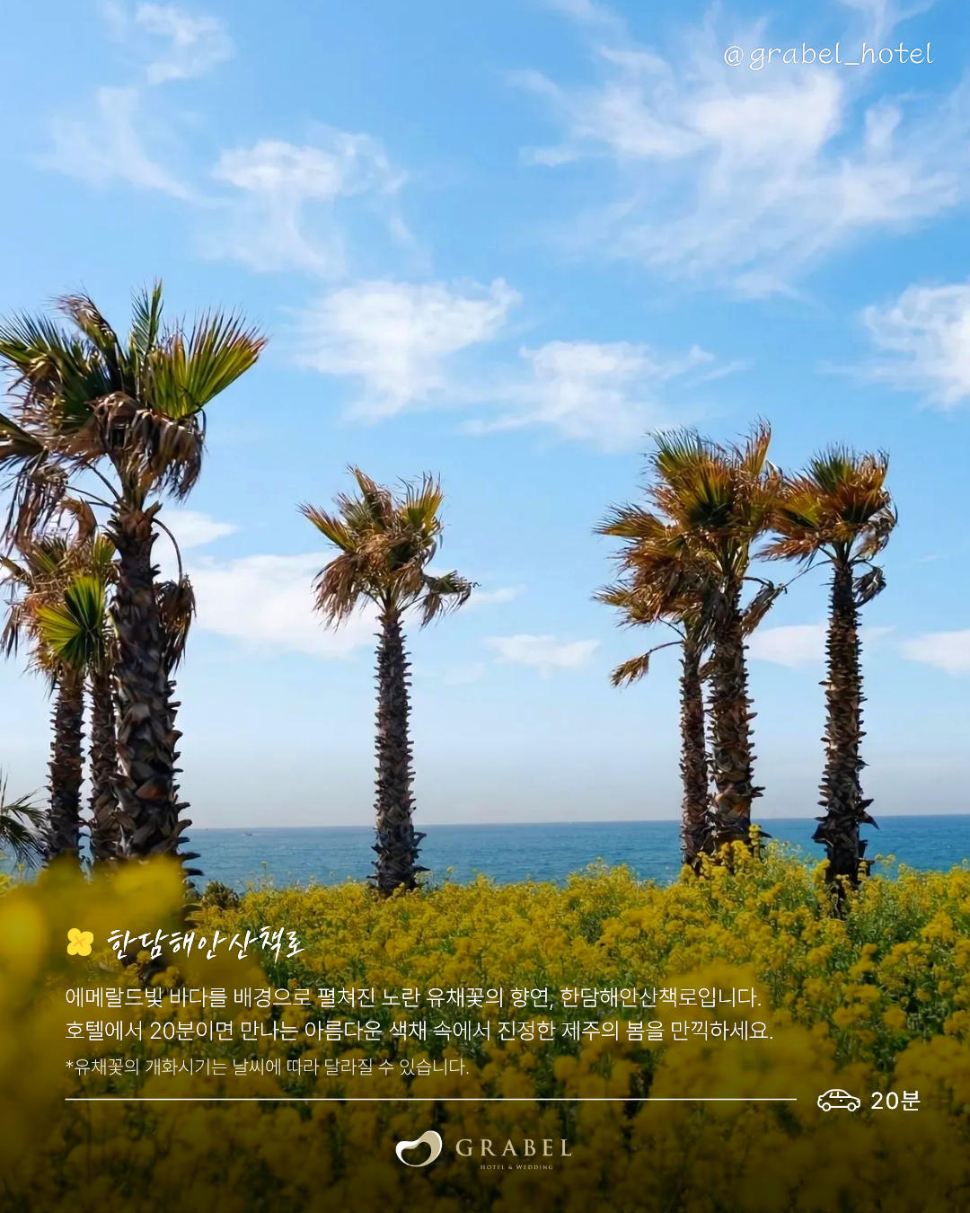 ์ธ์คํ_์์ชฝ ์ ์ฑ๊ฝ ๋ช
์_260323 (3).png