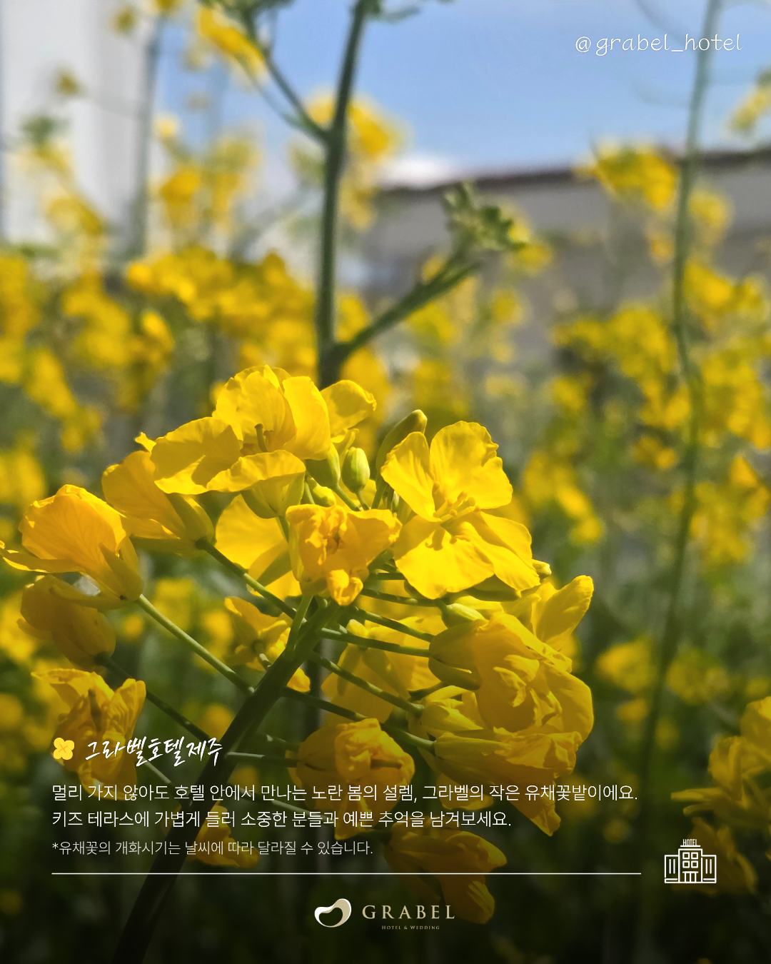 ์ธ์คํ_์์ชฝ ์ ์ฑ๊ฝ ๋ช
์_260323 (6).png