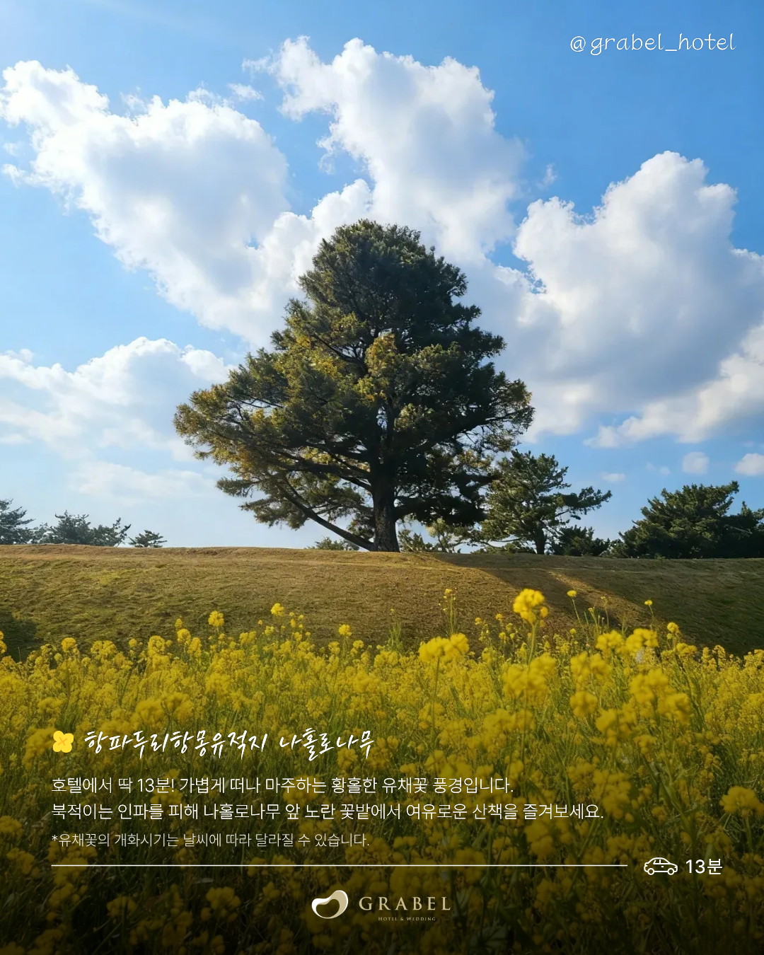 ์ธ์คํ_์์ชฝ ์ ์ฑ๊ฝ ๋ช
์_260323 (2).png
