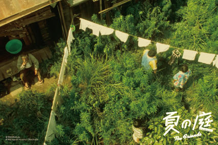 d251162bf777c.png