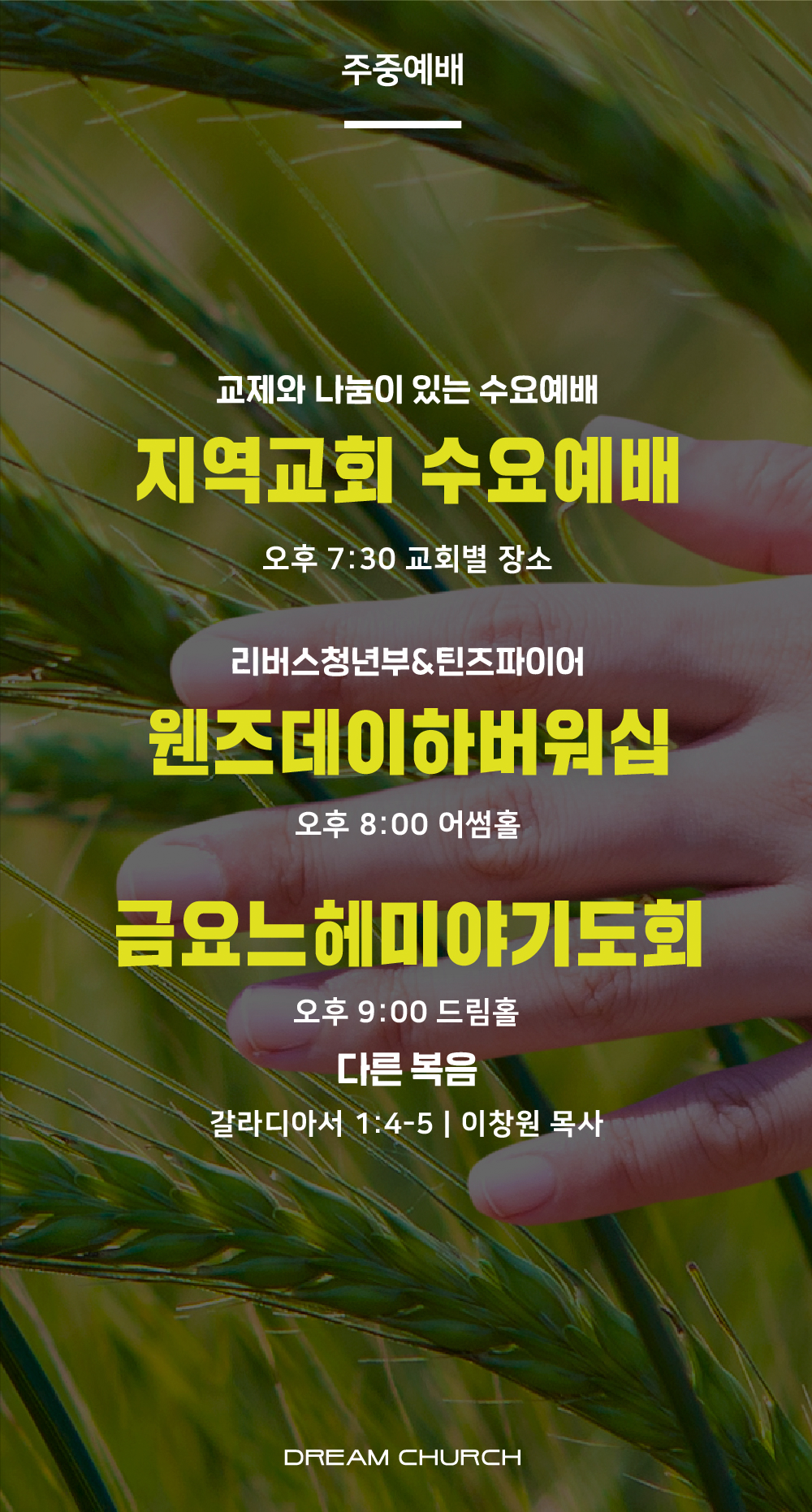 d55aee5ba4122.png