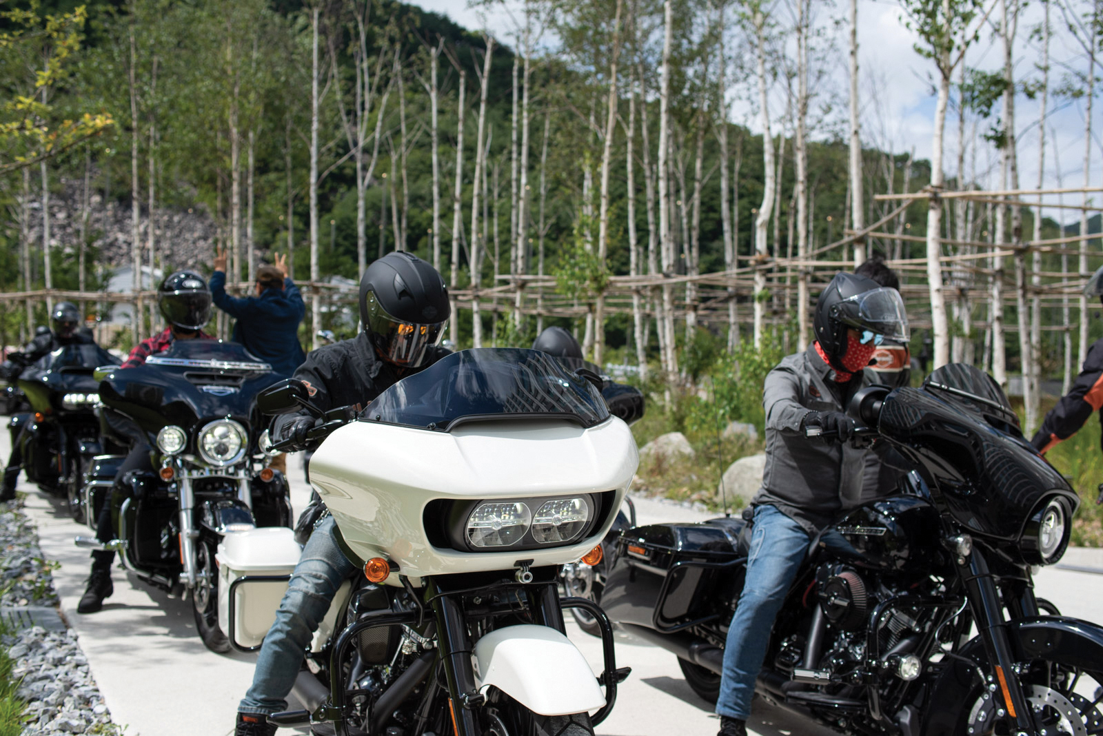 70d916ebc2b4f.jpg