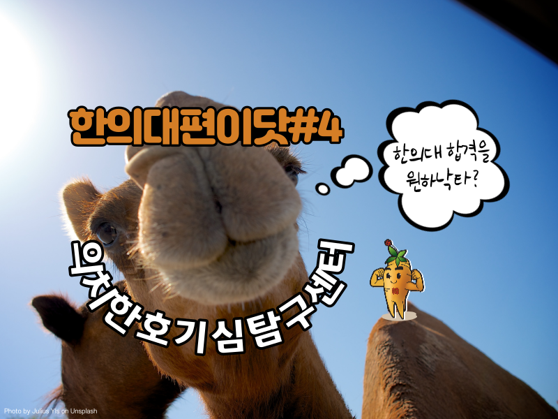 b49d756f57d46.png