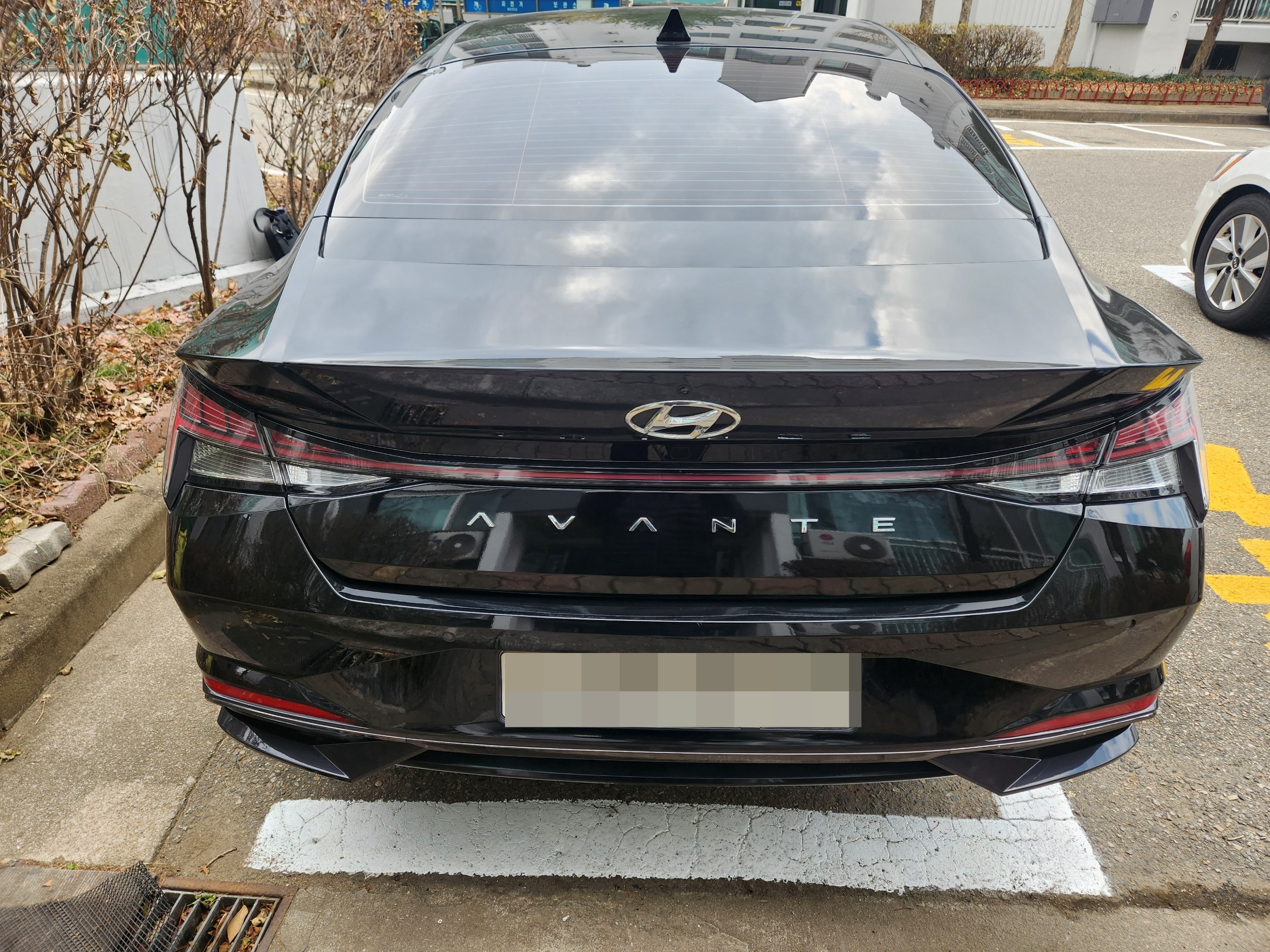 7bd203d8ae626.jpg